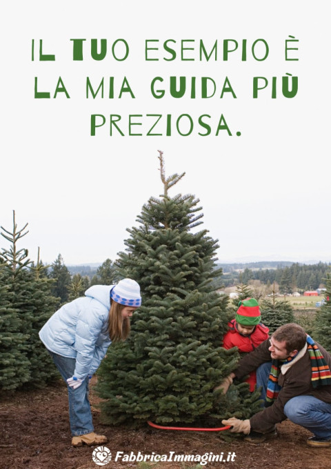 Il tuo esempio è la mia guida più preziosa