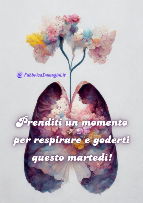 Prenditi un momento per respirare e goderti questo martedì!