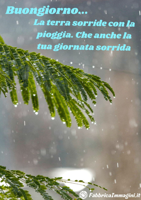 La terra sorride con la pioggia Che anche la tua giornata sorrida