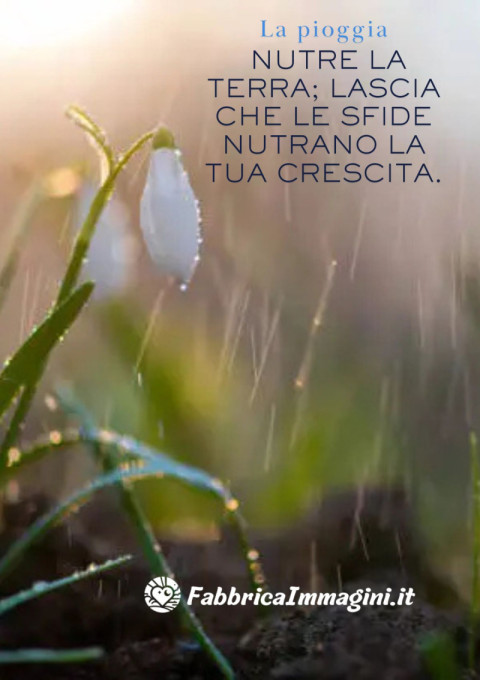 La pioggia nutre la terra; lascia che le sfide nutrano la tua crescita