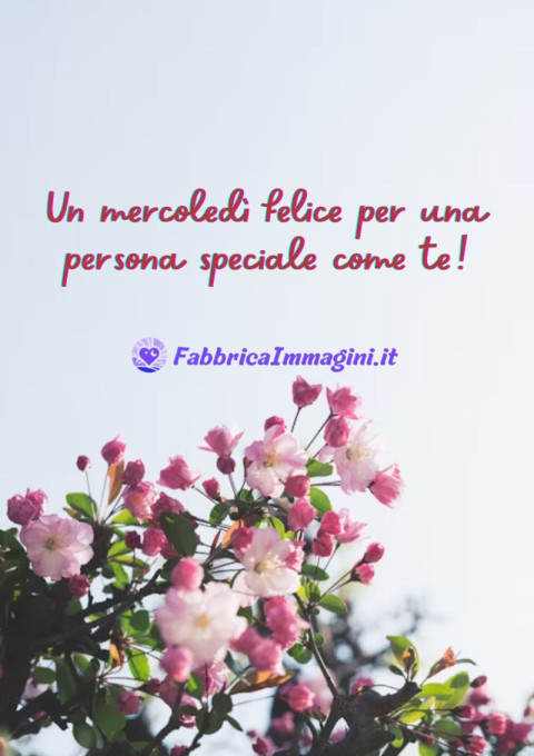 Un mercoledì felice per una persona speciale come te!