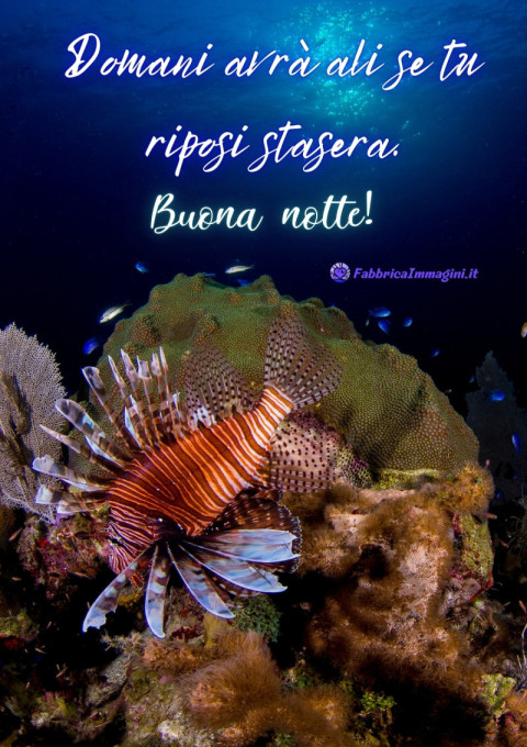 Domani avrà ali se tu riposi stasera Buona notte!