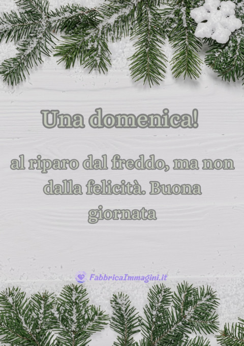 Una domenica al riparo dal freddo, ma non dalla felicità Buona giornata