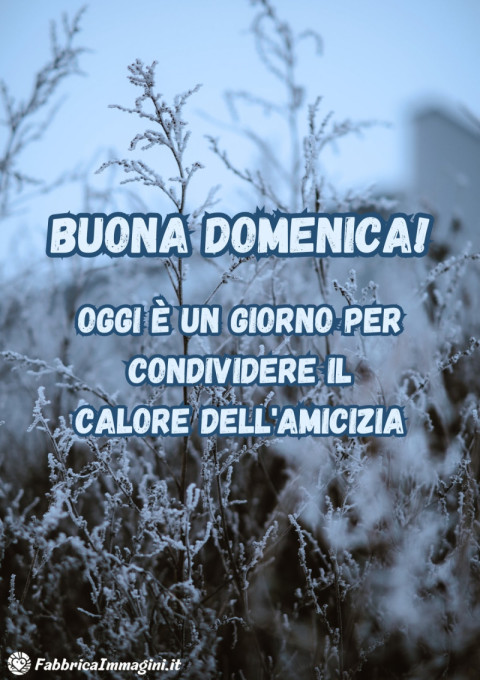 Buona domenica! Oggi è un giorno per condividere il calore dell'amicizia
