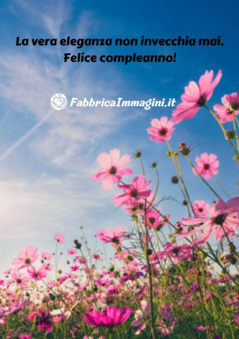 La vera eleganza non invecchia mai Felice compleanno!