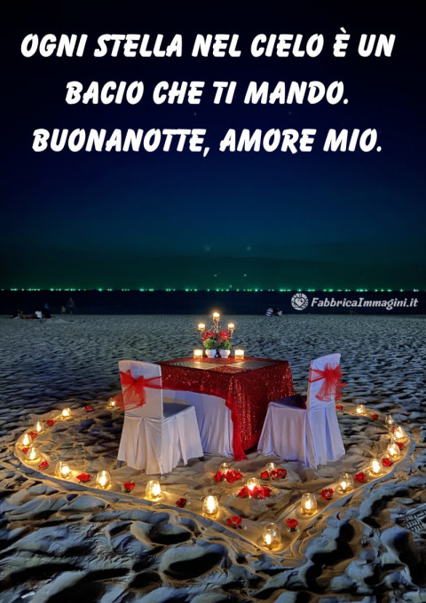 Ogni stella nel cielo è un bacio che ti mando Buonanotte, amore mio