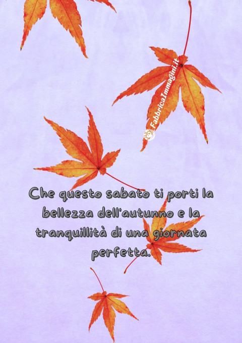 Che questo sabato ti porti la bellezza dell'autunno e la tranquillità di una giornata perfetta