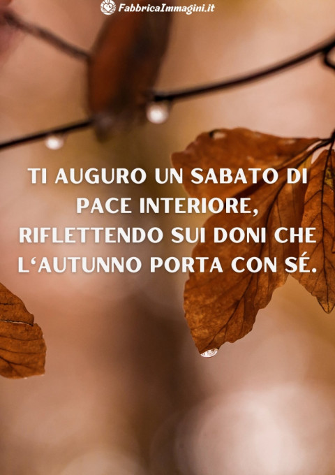 Ti auguro un sabato di pace interiore, riflettendo sui doni che l'autunno porta con sé