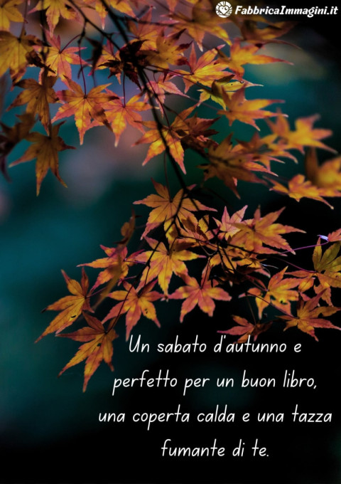 Un sabato d'autunno è perfetto per un buon libro, una coperta calda e una tazza fumante di tè