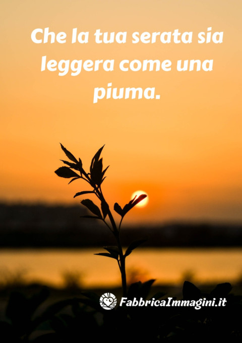 Che la tua serata sia leggera come una piuma