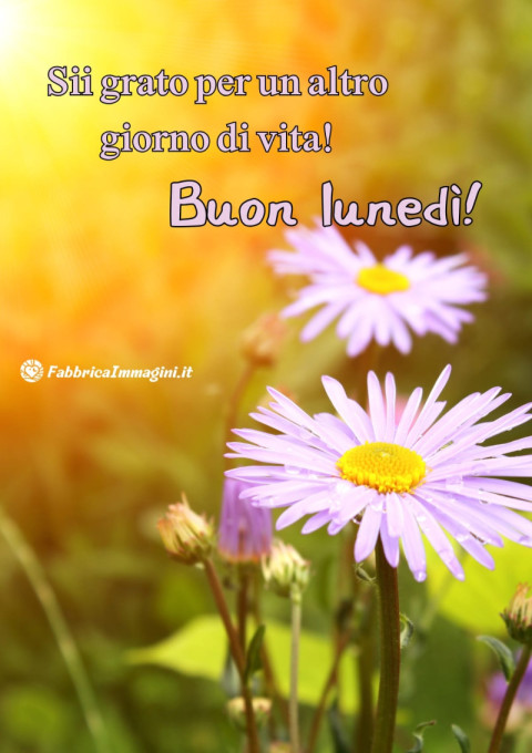 Buon lunedì! Sii grato per un altro giorno di vita!