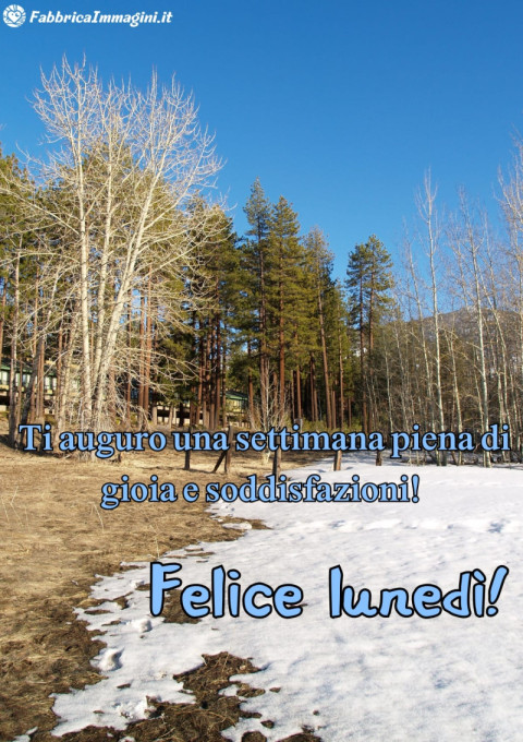 Felice lunedì! Ti auguro una settimana piena di gioia e soddisfazioni!