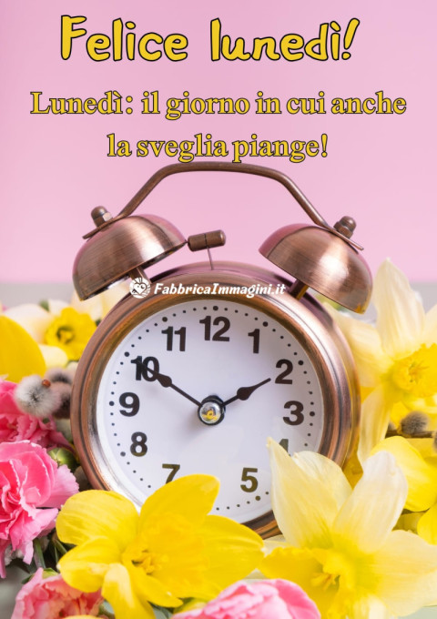 Lunedì il giorno in cui anche la sveglia piange!