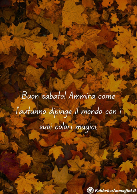 Buon sabato! Ammira come l'autunno dipinge il mondo con i suoi colori magici