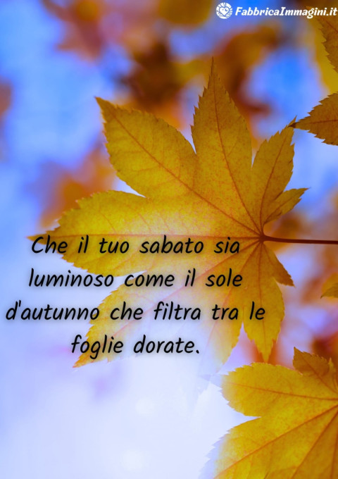 Che il tuo sabato sia luminoso come il sole d'autunno che filtra tra le foglie dorate
