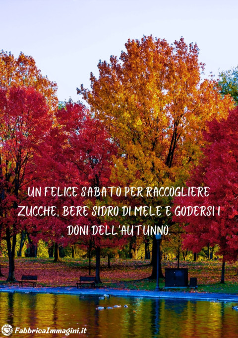 Un felice sabato per raccogliere zucche, bere sidro di mele e godersi i doni dell'autunno