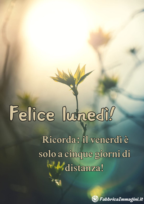 Felice lunedì! Ricorda il venerdì è solo a cinque giorni di distanza!