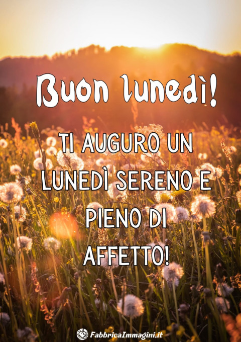 Ti auguro un lunedì sereno e pieno di affetto!