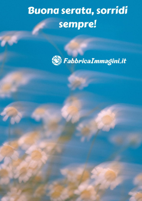 Buona serata, sorridi sempre!