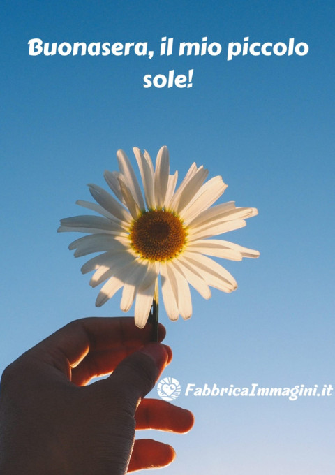 Buonasera, il mio piccolo sole!