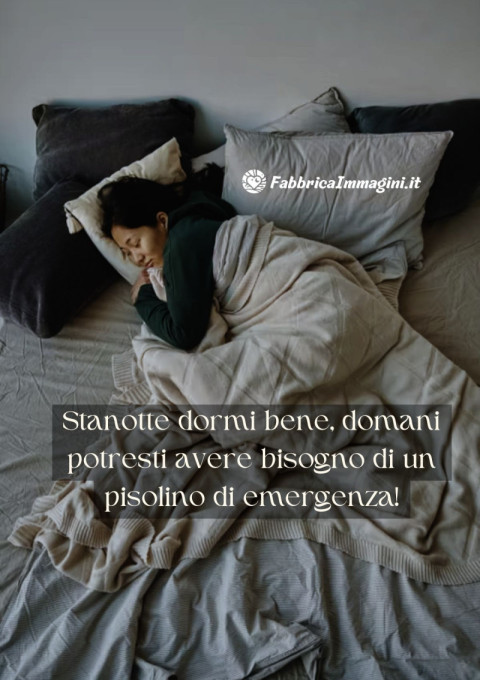 Stanotte dormi bene, domani potresti avere bisogno di un pisolino di emergenza!