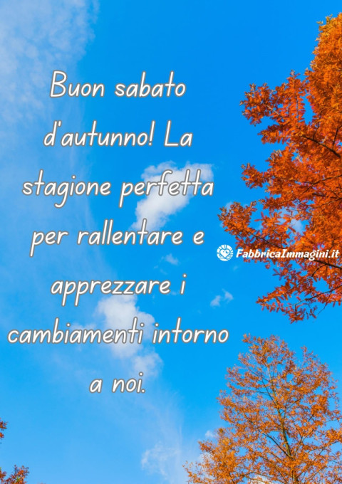 Buon sabato d'autunno! La stagione perfetta per rallentare e apprezzare i cambiamenti intorno a noi