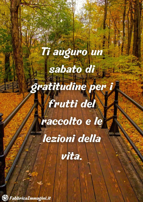 Ti auguro un sabato di gratitudine per i frutti del raccolto e le lezioni della vita