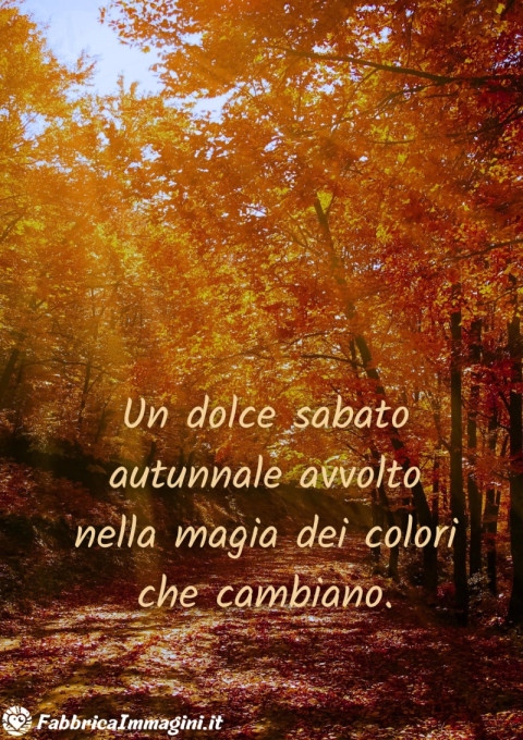 Un dolce sabato autunnale avvolto nella magia dei colori che cambiano