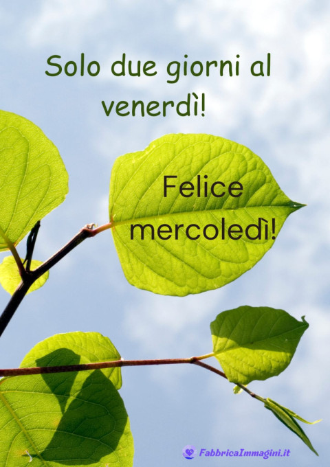 Felice mercoledì! Solo due giorni al venerdì!