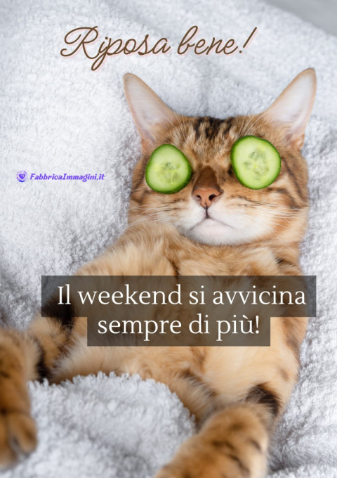 Riposa bene! Il weekend si avvicina sempre di più!