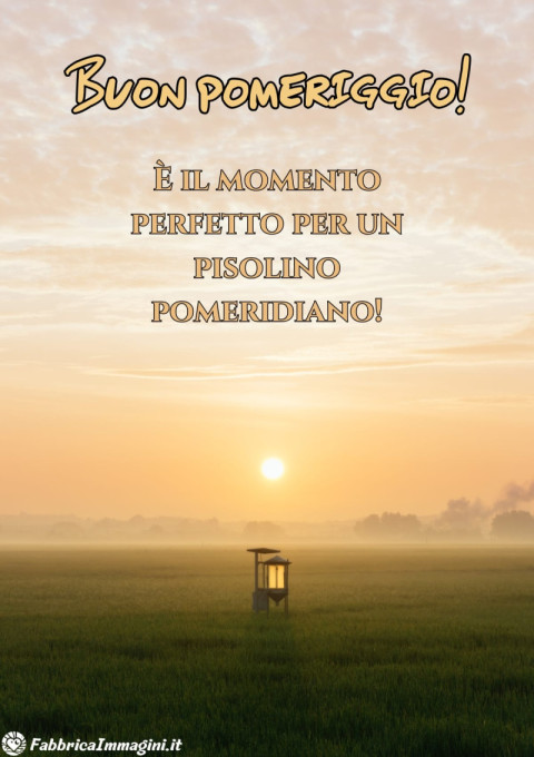 È il momento perfetto per un pisolino pomeridiano!