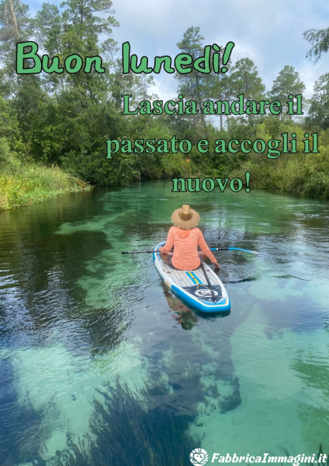 Lascia andare il passato e accogli il nuovo! Buon lunedì!