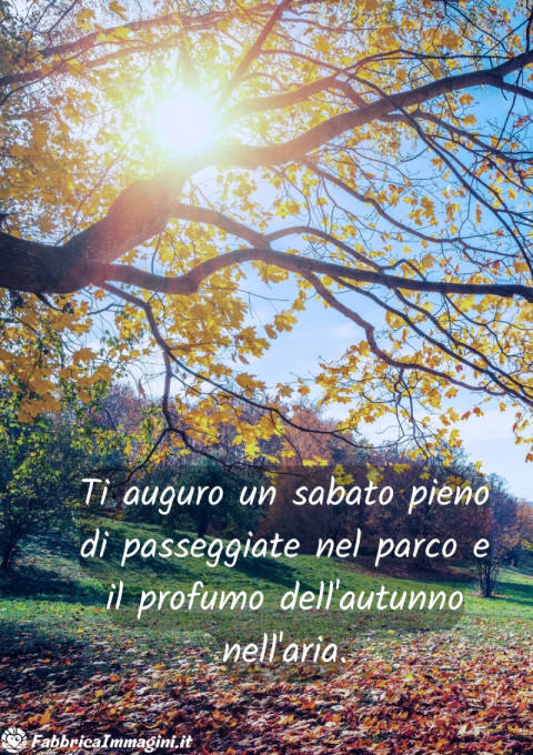 Ti auguro un sabato pieno di passeggiate nel parco e il profumo dell'autunno nell'aria