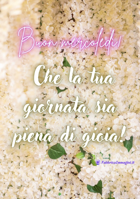 Buon mercoledì! Che la tua giornata sia piena di gioia!