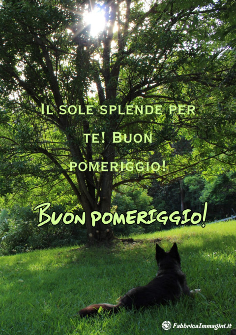 Il sole splende per te! Buon pomeriggio!