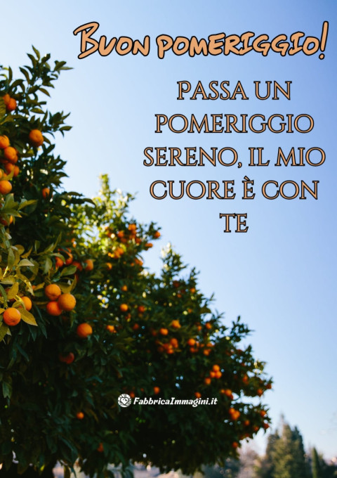 Passa un pomeriggio sereno, il mio cuore è con te