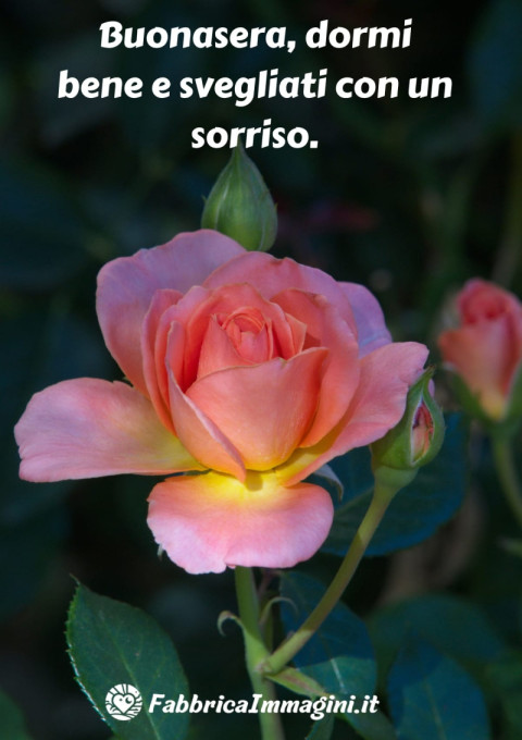 Buonasera, dormi bene e svegliati con un sorriso