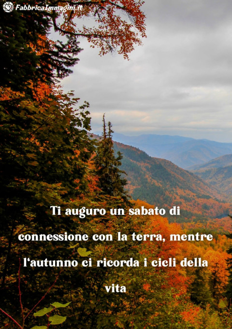Ti auguro un sabato di connessione con la terra, mentre l'autunno ci ricorda i cicli della vita