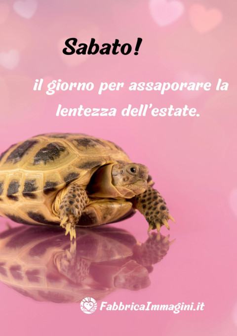 Sabato il giorno per assaporare la lentezza dell’estate