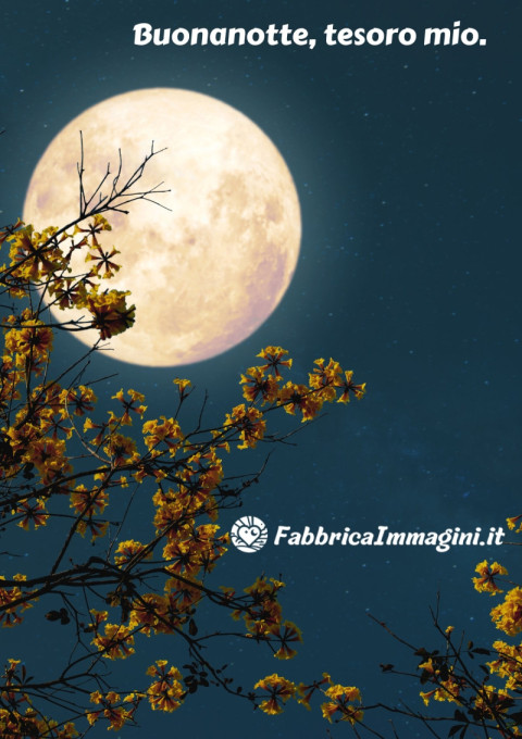 Buonanotte, tesoro mio