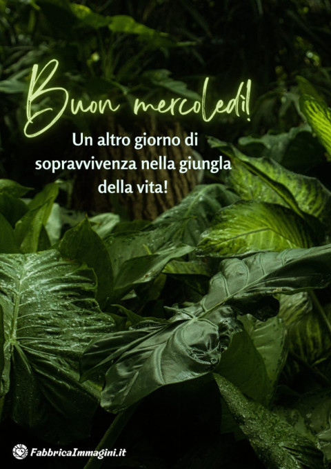 Buon mercoledì! Un altro giorno di sopravvivenza nella giungla della vita!