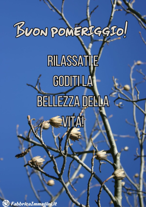 Buon pomeriggio! Rilassati e goditi la bellezza della vita!