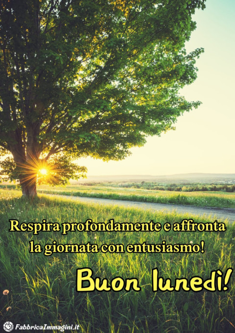 Buon lunedì! Respira profondamente e affronta la giornata con entusiasmo!