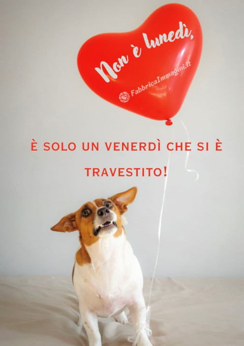 Non è lunedì, è solo un venerdì che si è travestito!