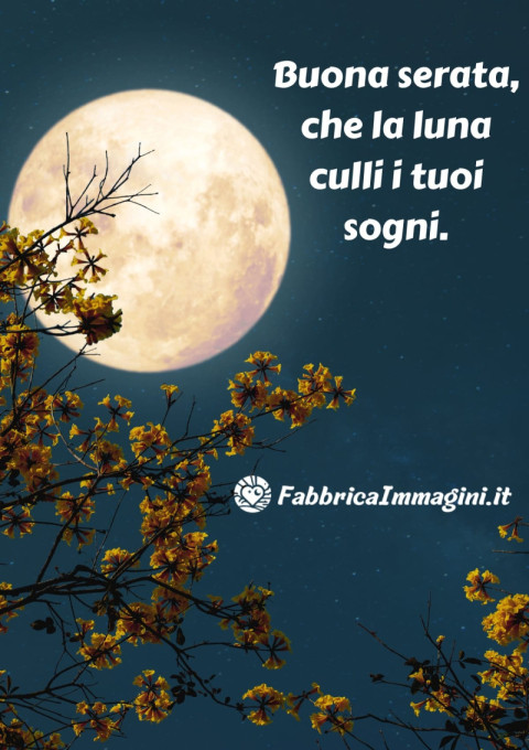 Buona serata, che la luna culli i tuoi sogni