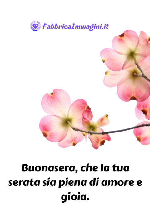 Buonasera, che la tua serata sia piena di amore e gioia