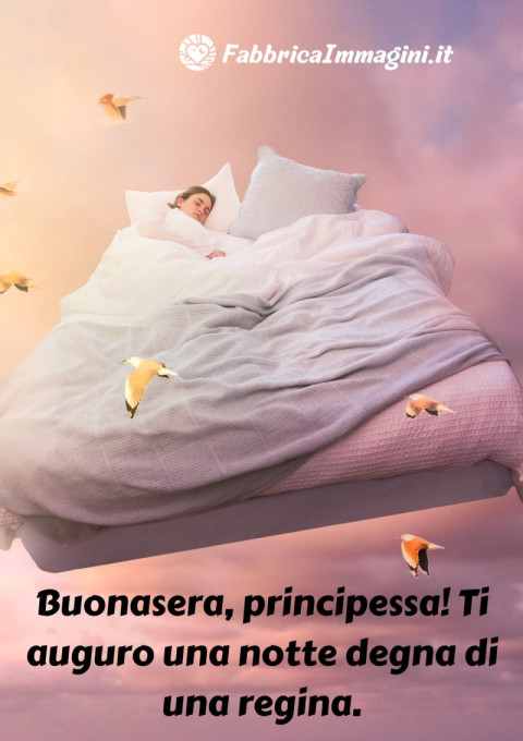 Buonasera, principessa! Ti auguro una notte degna di una regina