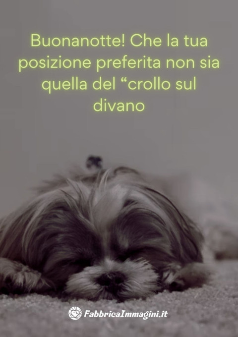 Buonanotte! Che la tua posizione preferita non sia quella del “crollo sul divano