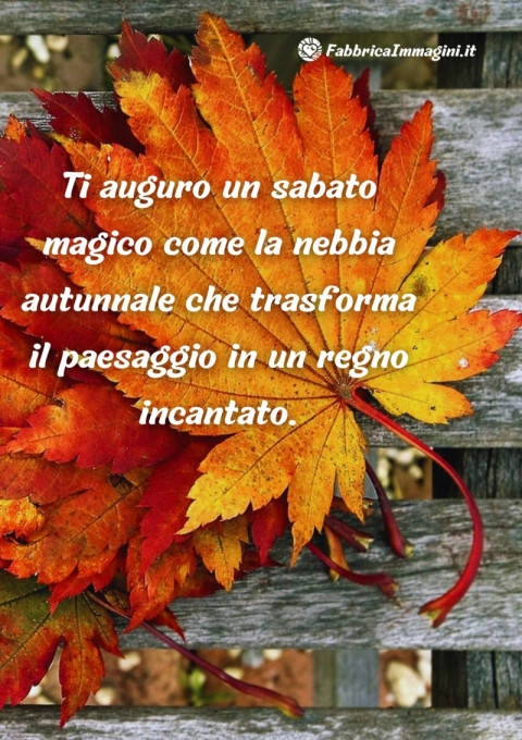 Ti auguro un sabato magico come la nebbia autunnale che trasforma il paesaggio in un regno incantato