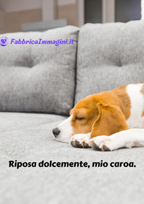 Riposa dolcemente, mio caroa